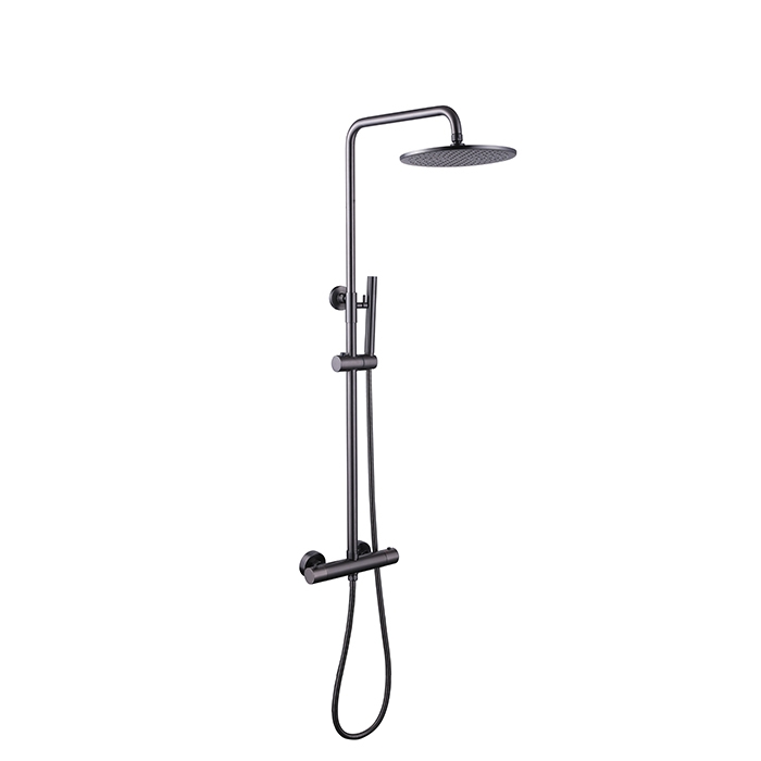 Customizable thermostatic shower options