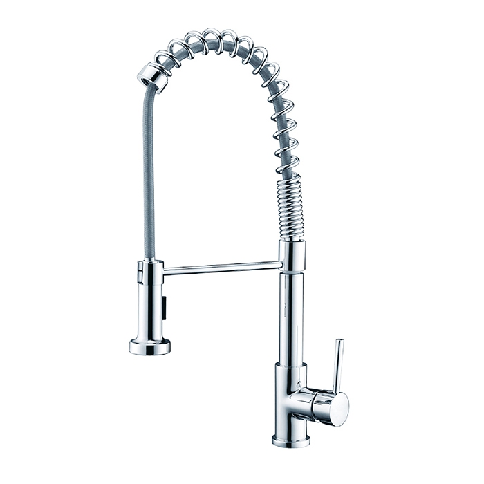 double spray kitchen pull out sink faucet